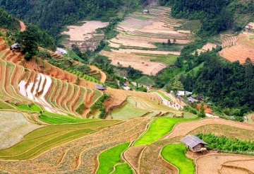 discover the beauty spots of Muong Lo, Nghia Lo and Mu Cang Chai