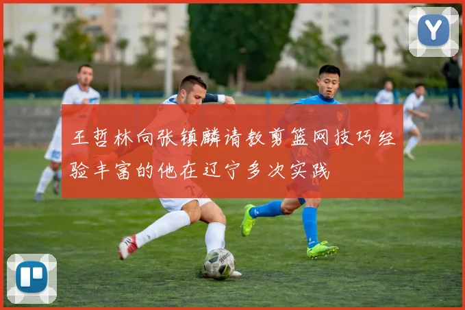 王哲林向张镇麟请教剪篮网技巧经验丰富的他在辽宁多次实践