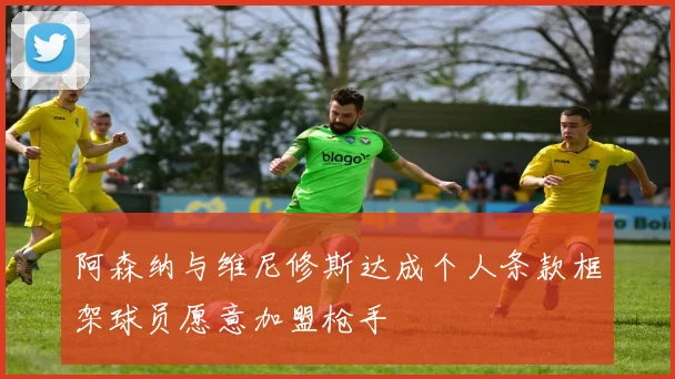 阿森纳与维尼修斯达成个人条款框架球员愿意加盟枪手