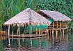 Travel in the tropical Tatai river in cambodia